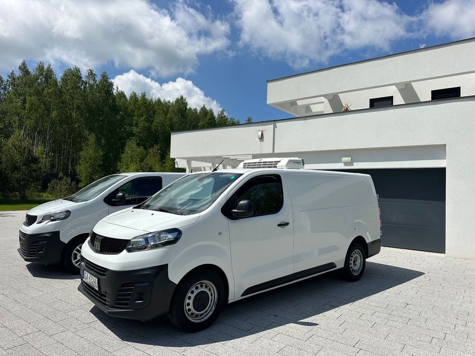 Peugeot Expert 2.0 diesel / chlodnia / mroznia / zanotti / long  Scudo / expert / proace / long / chlodnia / thermo king / carrier /2.0