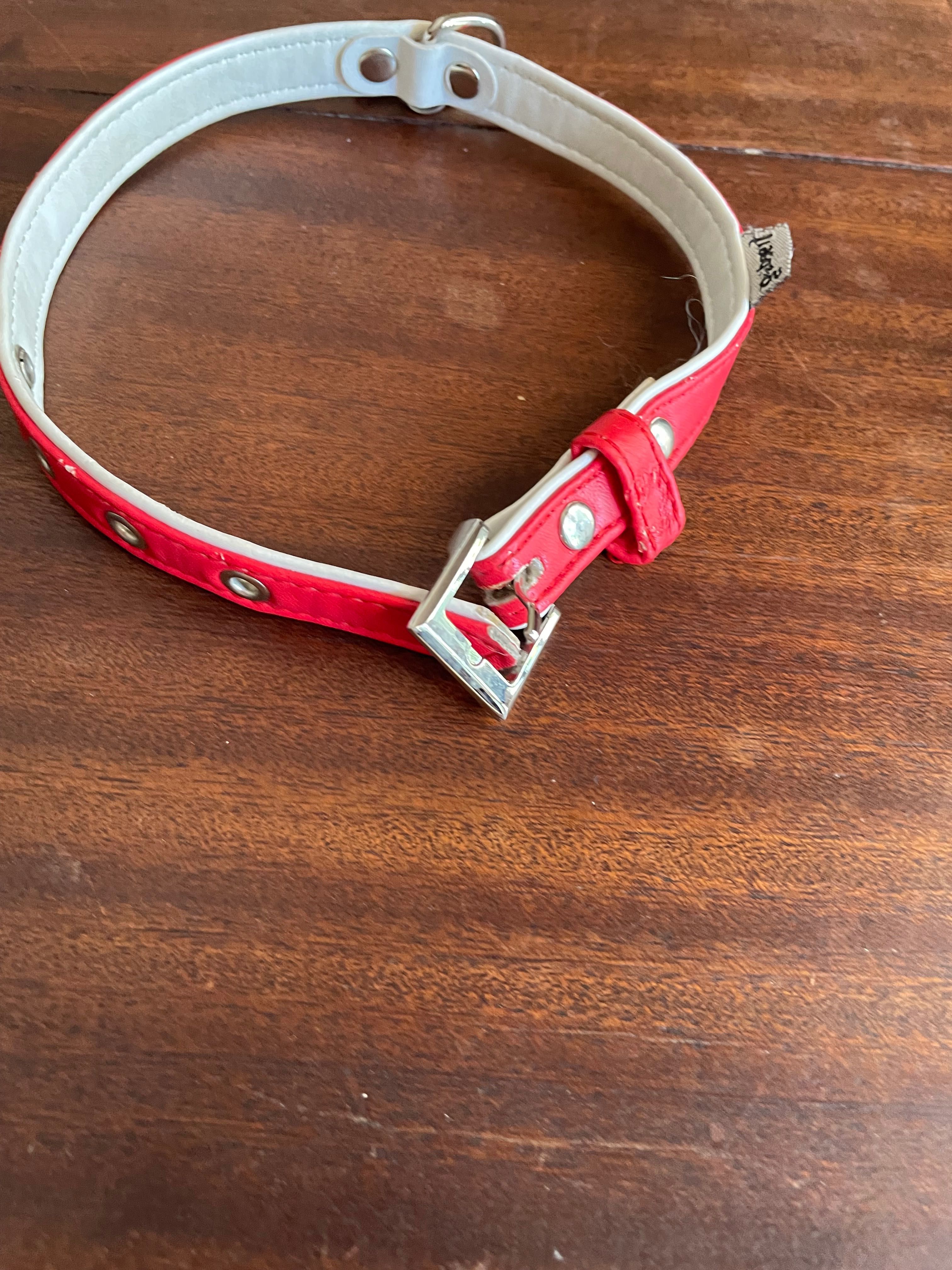 Coleira para cão/cadela pequenO/a