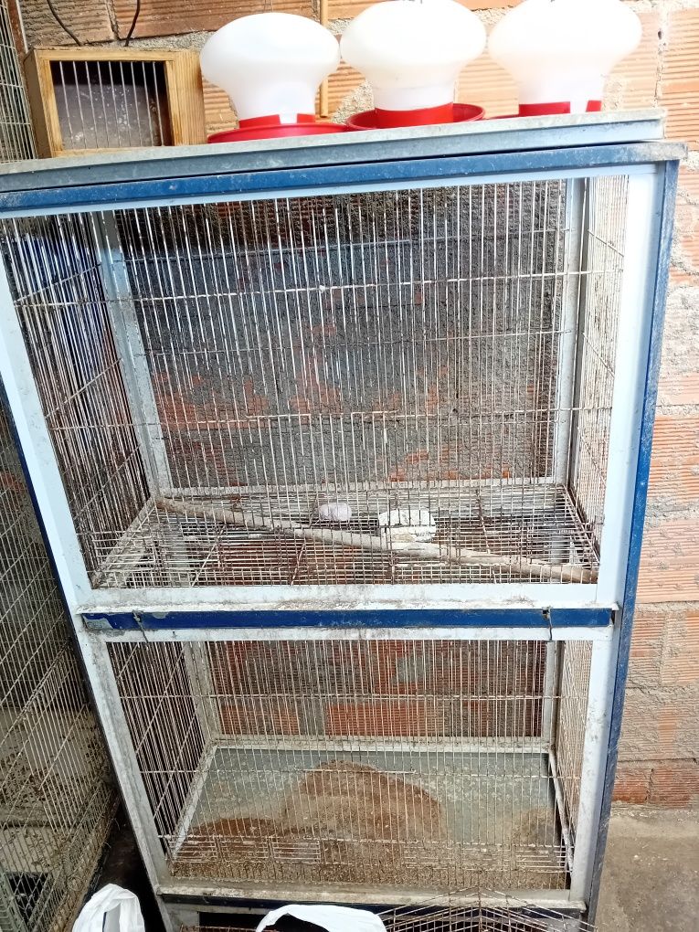Vendo 2 viveiros, várias gaiolas e utensílios.