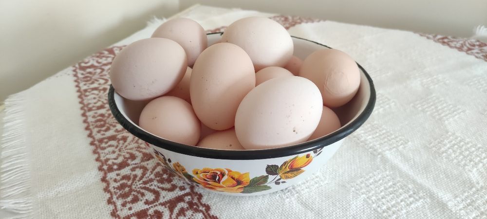 Jajka wiejskie z wolnego wybiegu