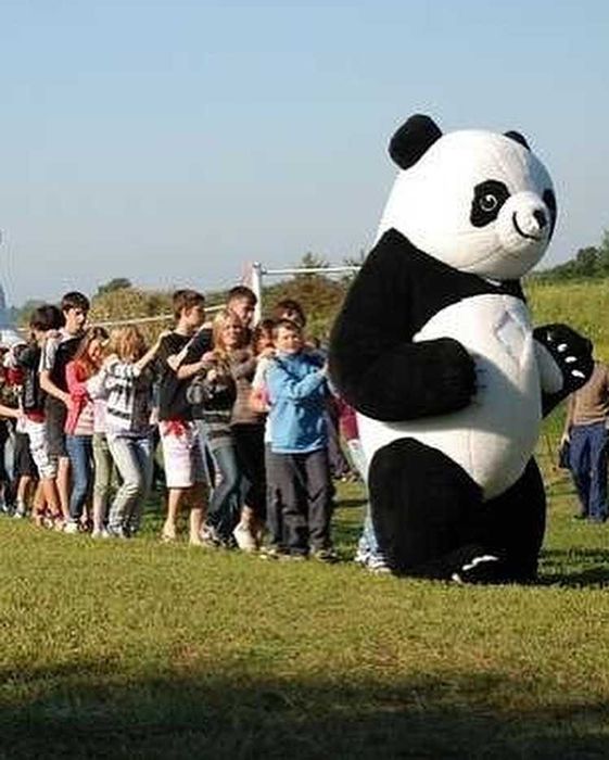 Kostium Maskotka Panda