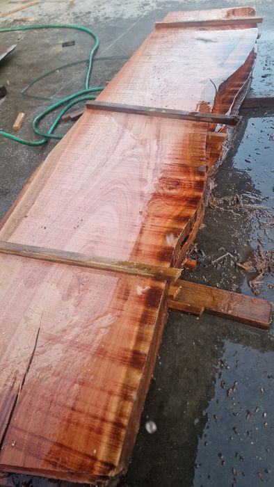 Madeira em prancha de eucalipto vermelho varias grossuras