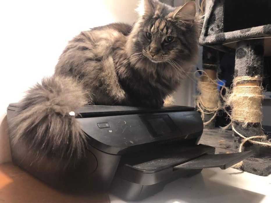 Drukarka HP envy 5640