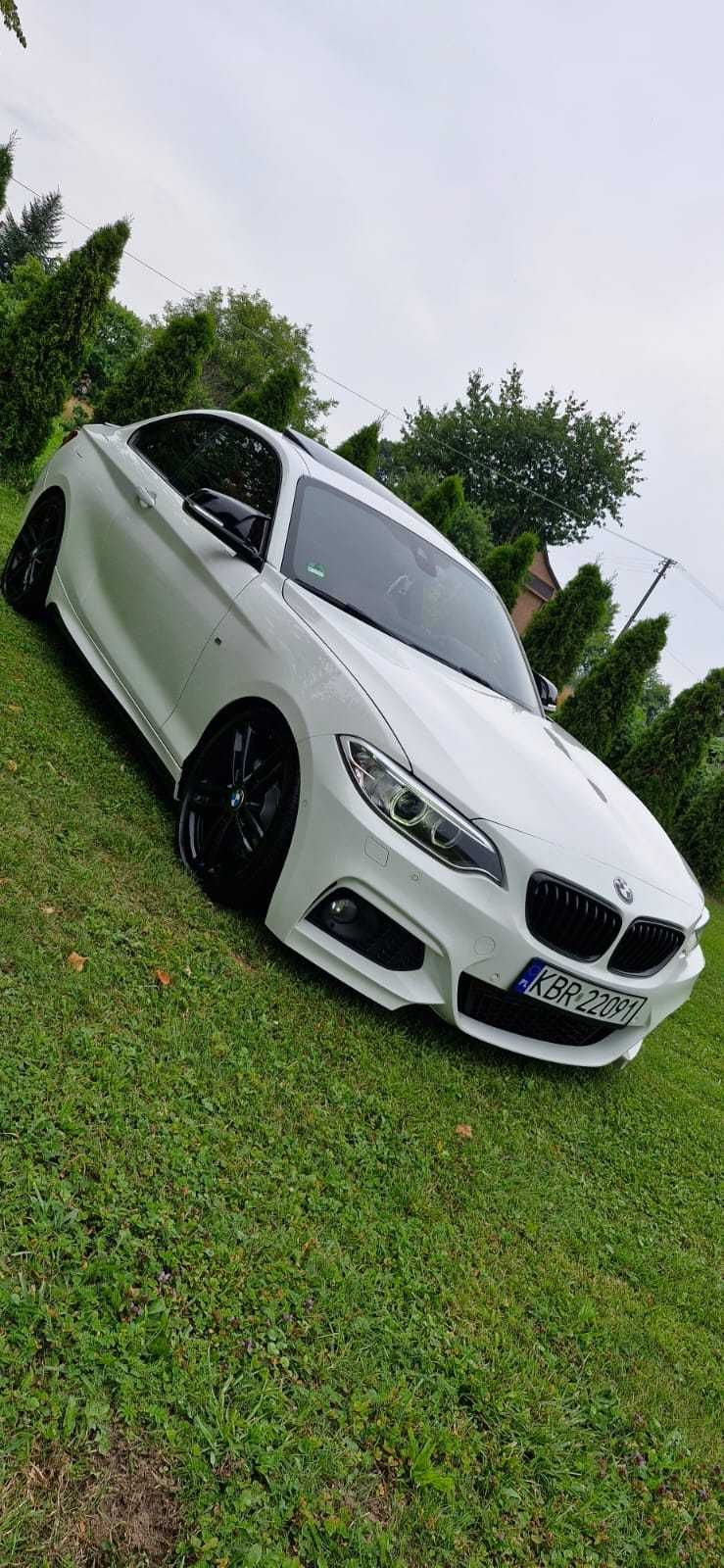 Bmw 220d F22 M Pakiet KW Friedrich M Performance