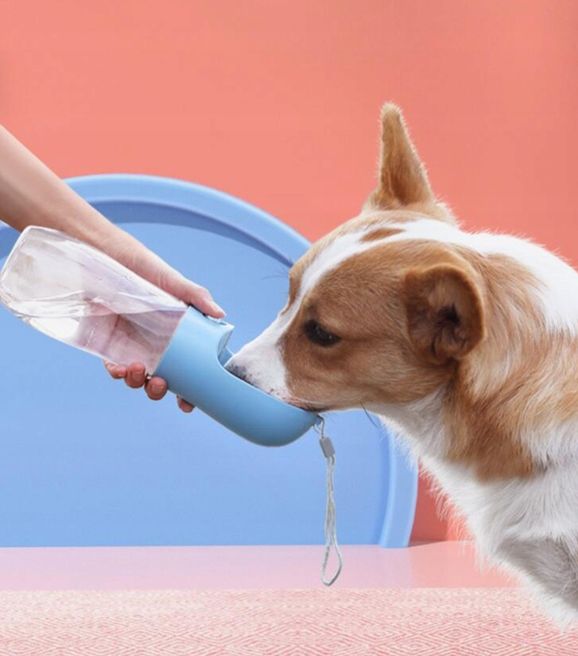 Butelka Miska Na Wodę Przenośna Poidło Dla Psa Turystyczna 350 Ml S9