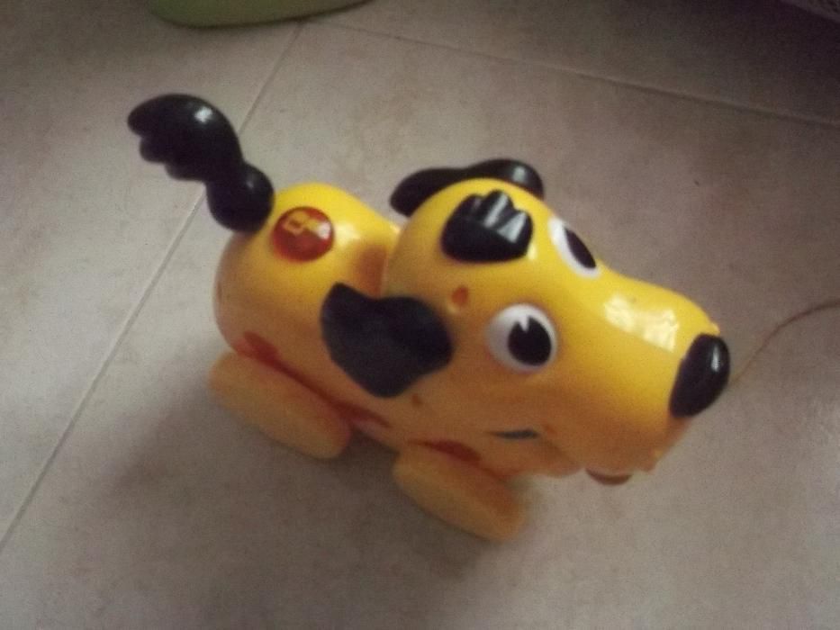 Cão com som