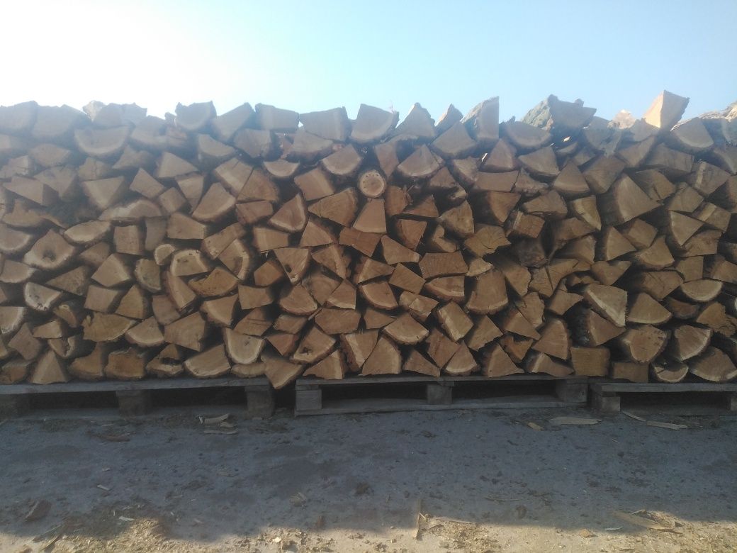 Drewno opałowe/kominkowe - Dąb