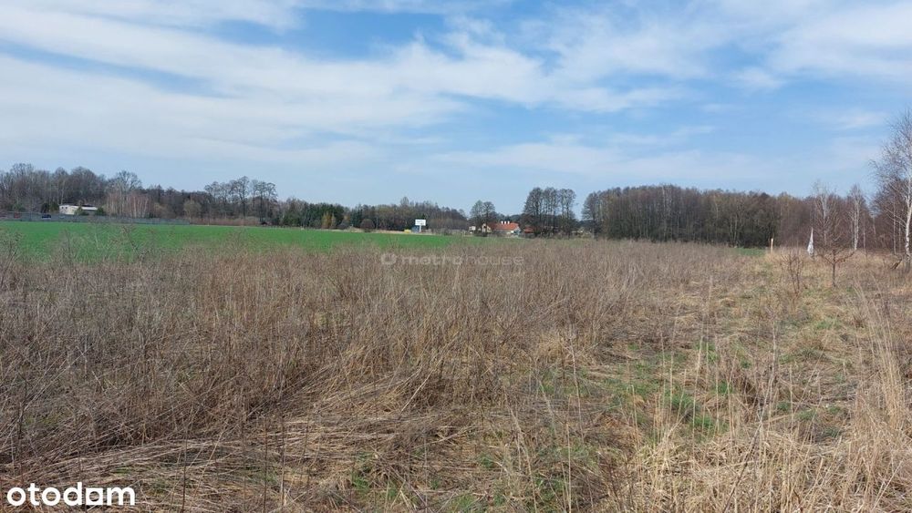 Działka, Rąbień