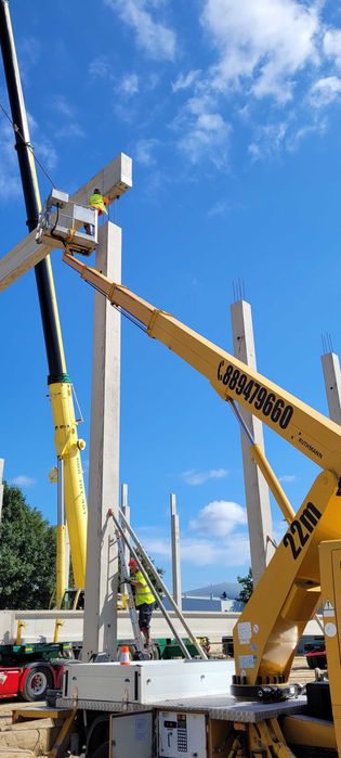 Podnośnik koszowy 22M. Wynajem, Usługi, Wycinka drzew