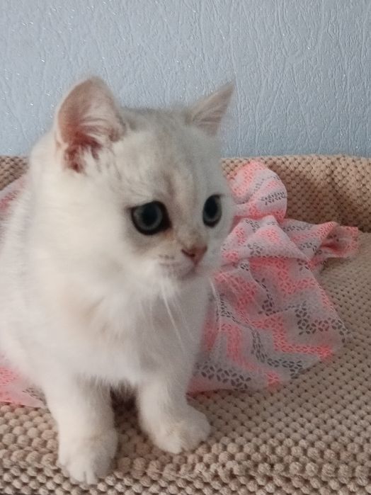 Пухнастий антистресик