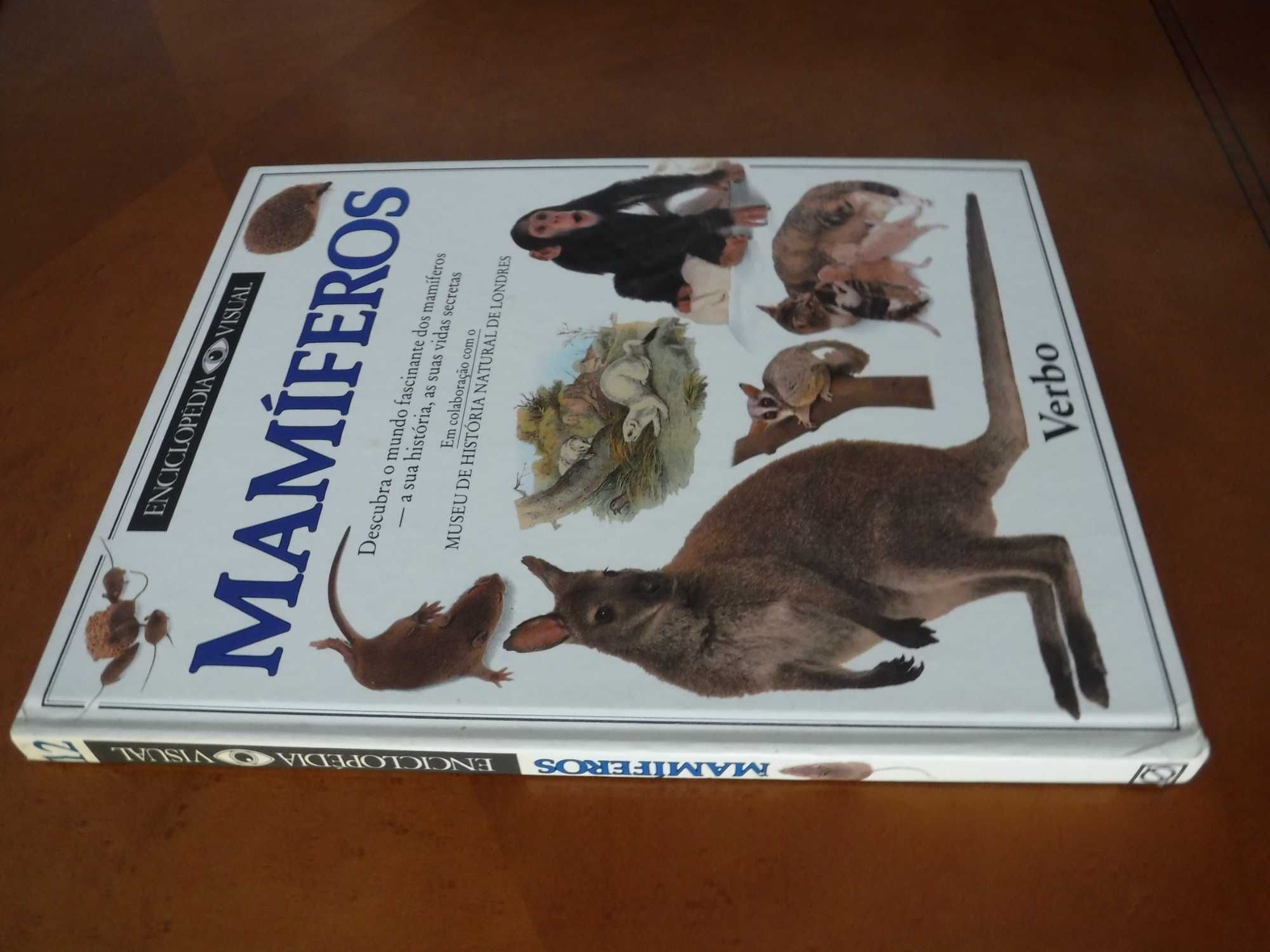 Enciclopédia Visual Mamíferos Verbo