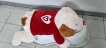 Cão peluche enorme