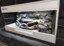Terrarium Okazja