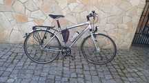 Rower Diamant Beryll Sport, Rama M