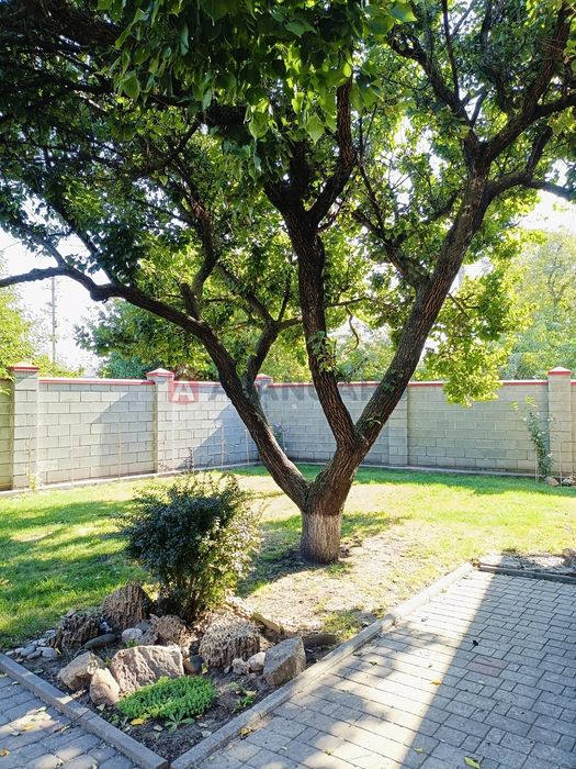 Ексклюзив!   Продам Два Дома Диевка-1,  ж.м. Покровский