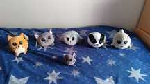 Peluches bando do bosque