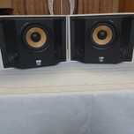 Акустичні колонки BOWERS &WILKINS ds6