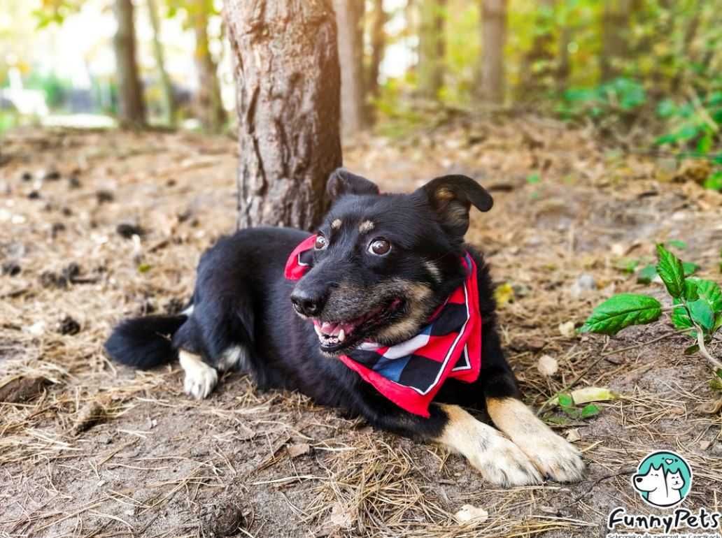 Pomożesz przezwyciężyć mi moje lęki? Adoptujesz?