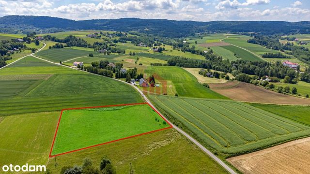 Działka reakreacyjna w okolicach góry Chełm