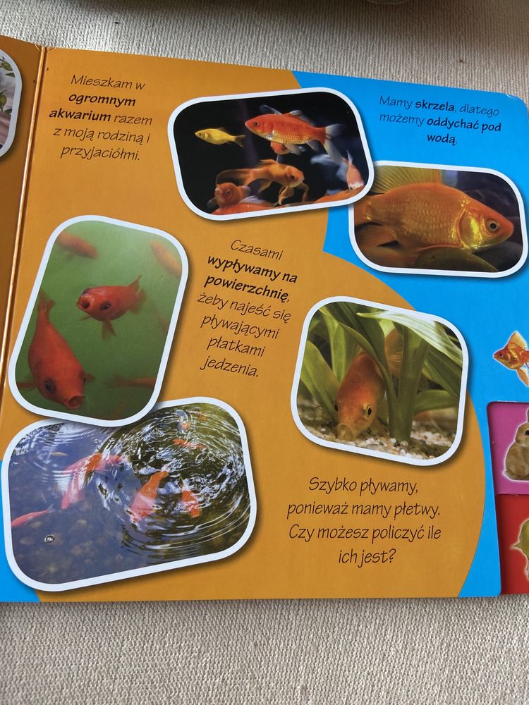 Książka dla dzieci Zwierzęta domowe