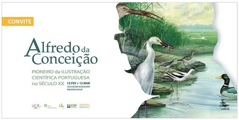 "Vida no Sapal" Alfredo da Conceição (1978)