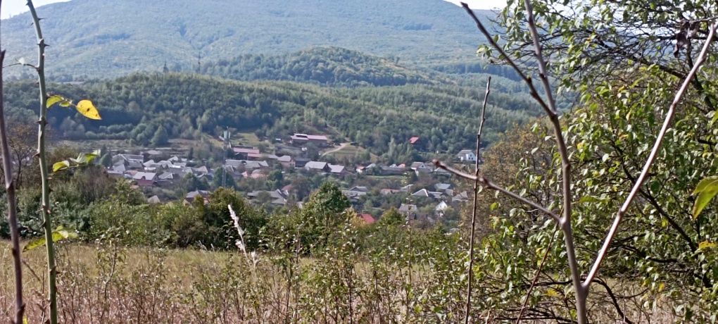 Ціну знижено! Продамо будинок та 25 соток Голубине на пагорбі
