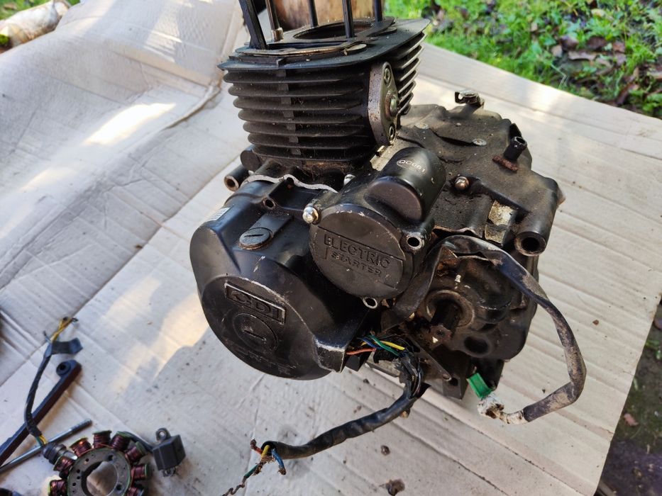 Forte мотор 166 Fmm 250