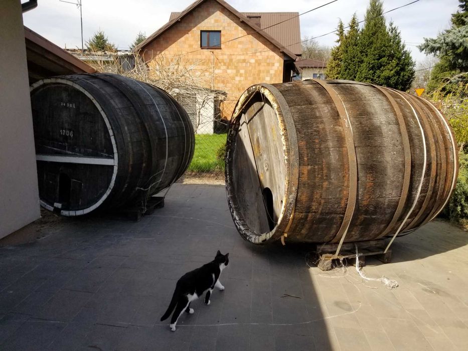 Beczka dąb po winie 2800 l, 170 cm wys. Unikat!