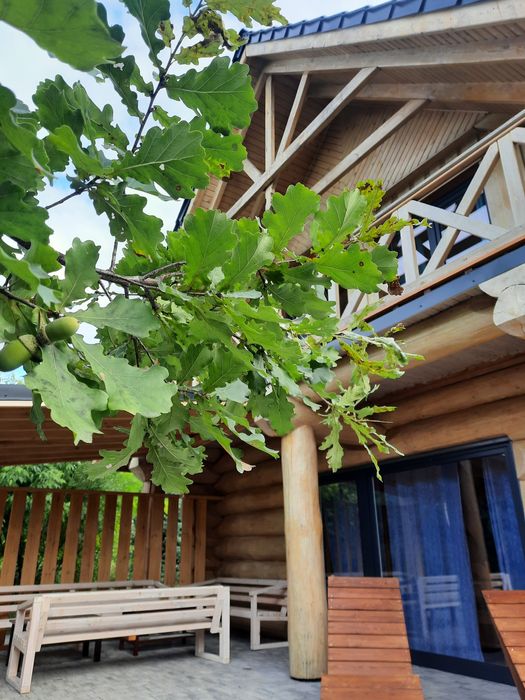 Dom nad Łowiskiem, jezioro Powidzkie, domek do wynajęcia