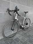 TRIBAN 100 rozmiar L gravel