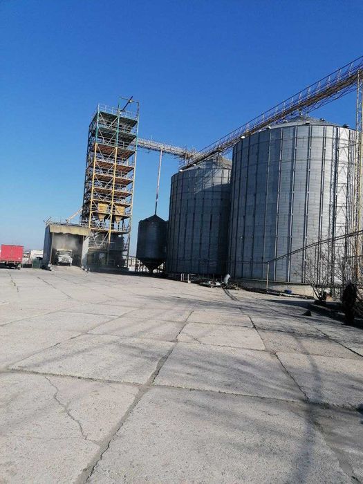 Комбікорм для свиней холостих та супоросних. 40 кг