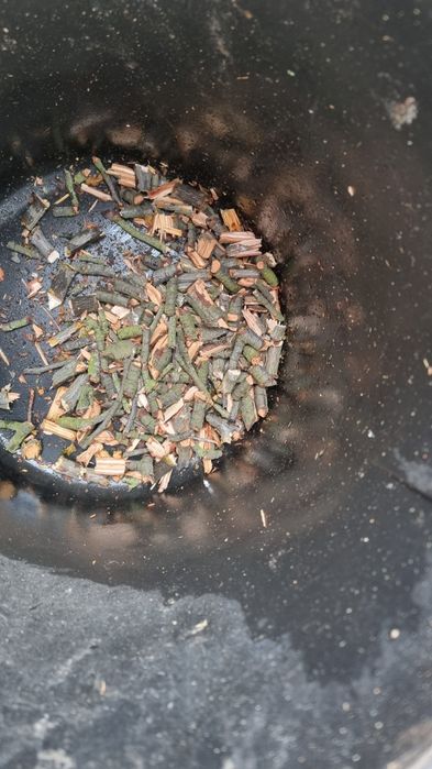 Rozdrabniacz do gałęzi rębak Bosch  2200 watt