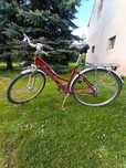 Rower damski miejsko- trekkingowy ARKUS TREKK 800 28"ALU