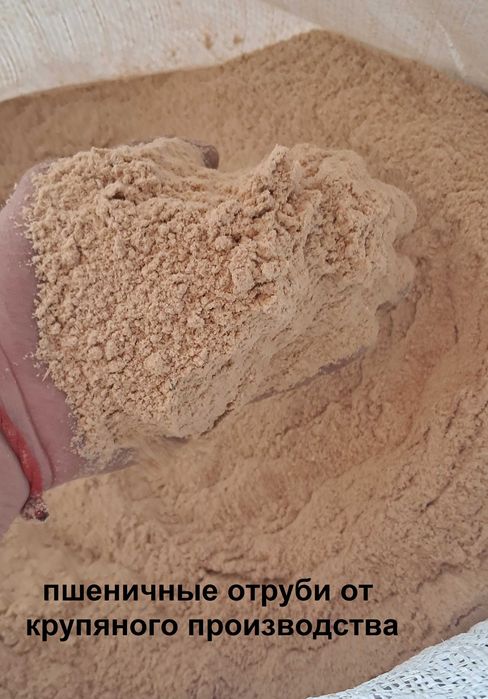 Высевки Отруби Висівки ПШЕНИЧНЫЕ