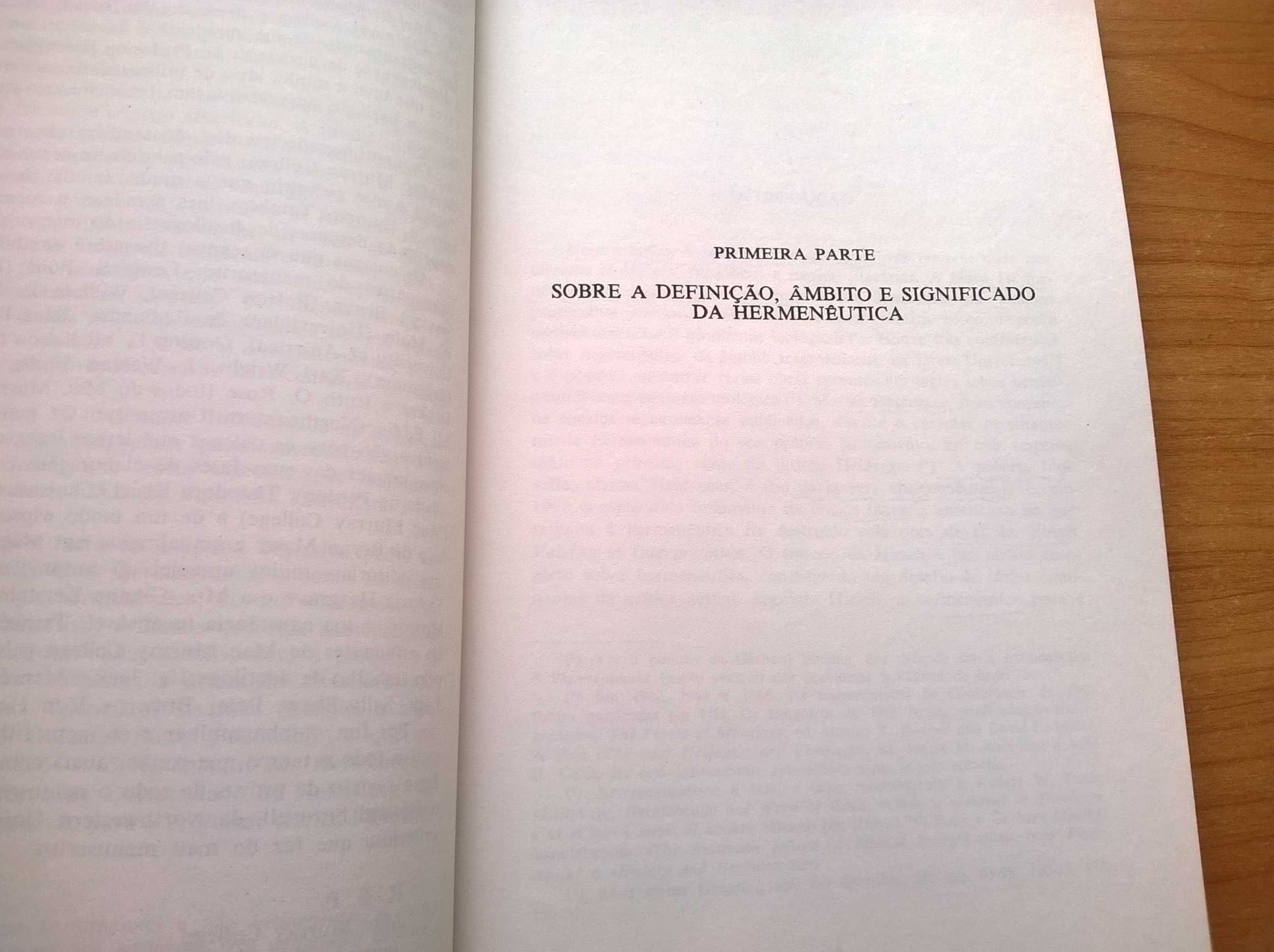 Hermenêutica - Richard E. Palmer