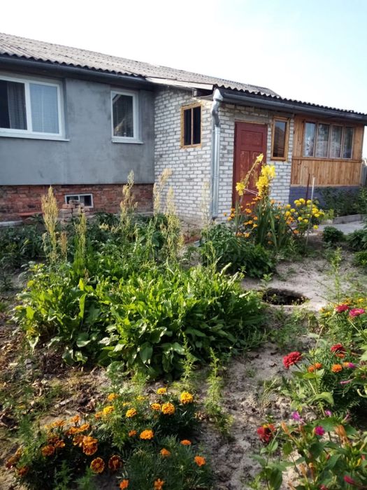 Житловий будинок