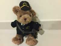 Urso teddy