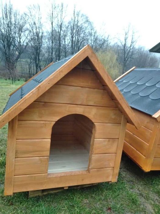 Solidne Budy dla psa buda drewniana