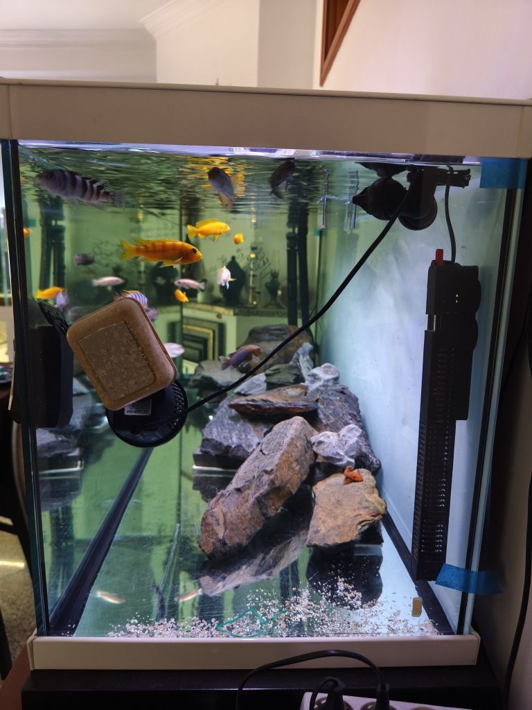 Aquário Aquatlantis 150cm completo com o equipamento