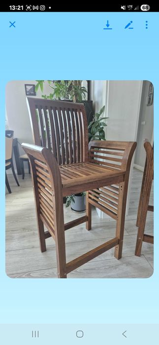 Hakiery dębiwe warte swojej ceny