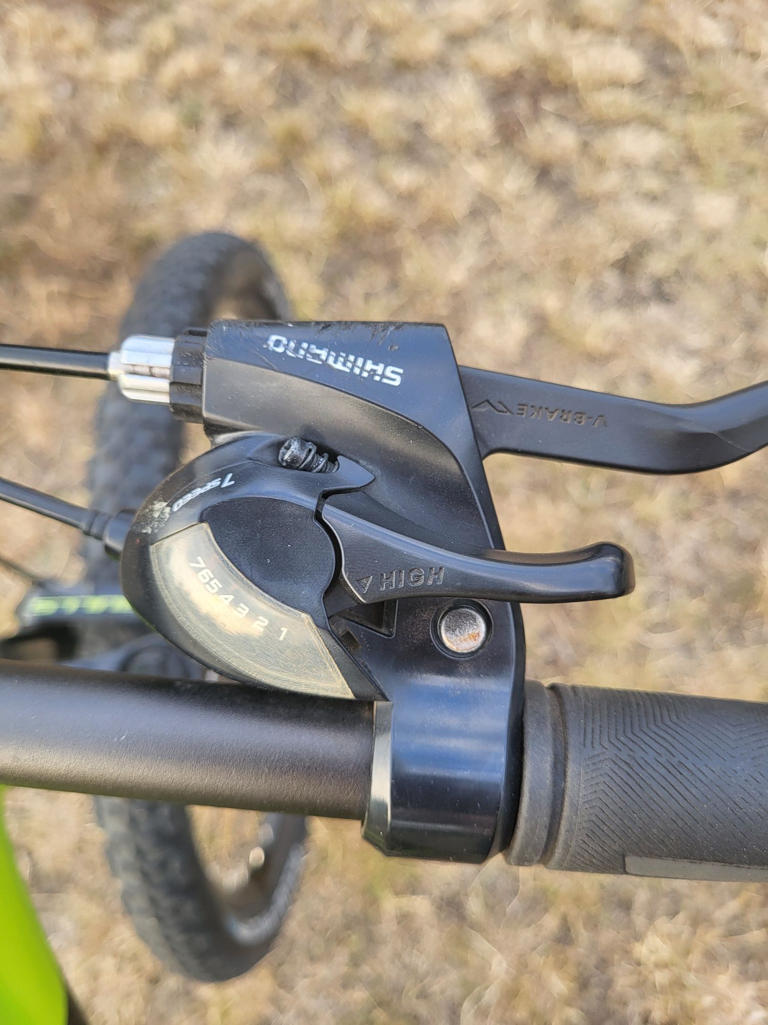 Rower bulls wildtail 1          26"