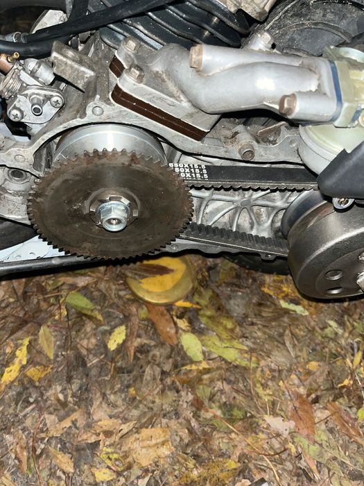 Дио 27 дам сфоткаться за 250 грн