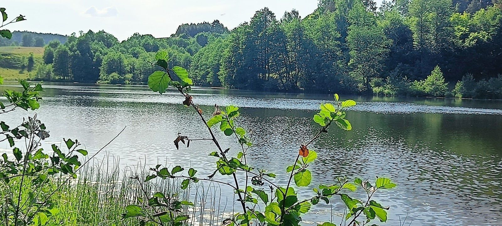 Domek letniskowy całoroczny