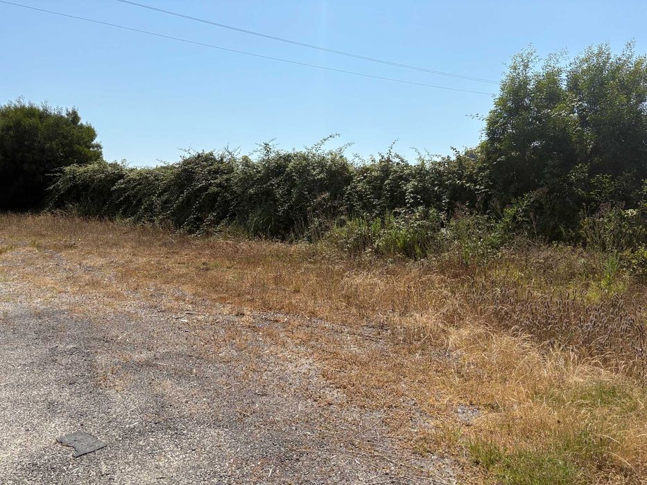 Terreno de 2.800 m2 para arrendar em Modivas