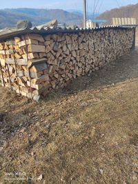 Купить дрова дуб колотый сухой Киев, Борисполь, Бровары