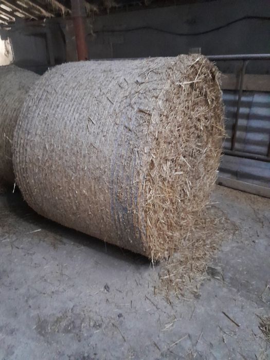 Sprzedam słomę i siano