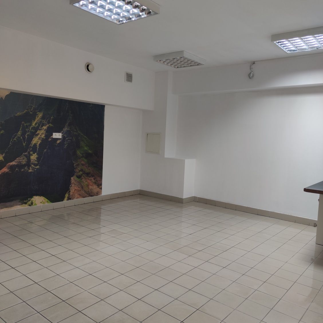 Lokal do wynajęcia Ostrów Lubelski