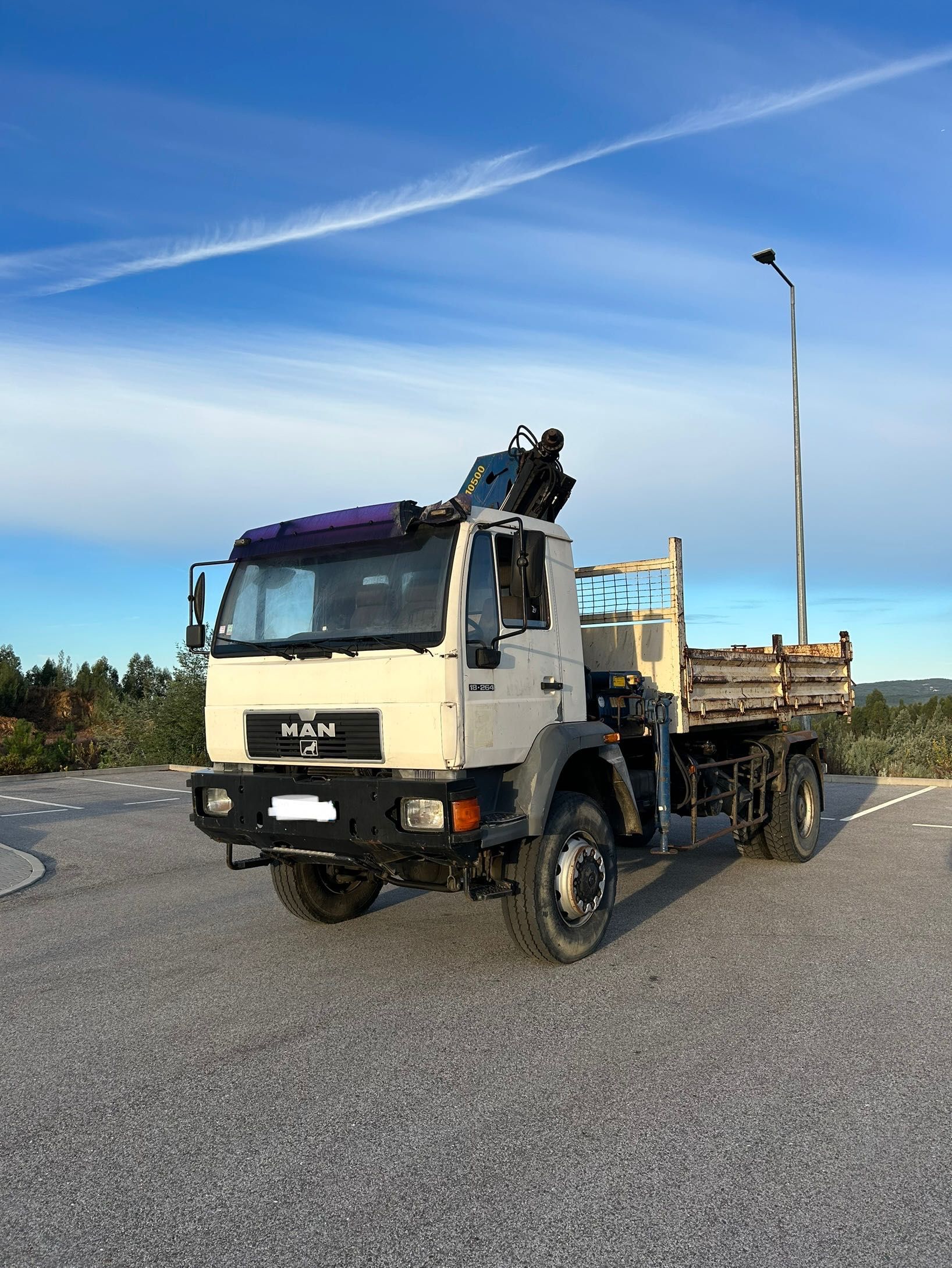 Camião Man 4x4 com grua