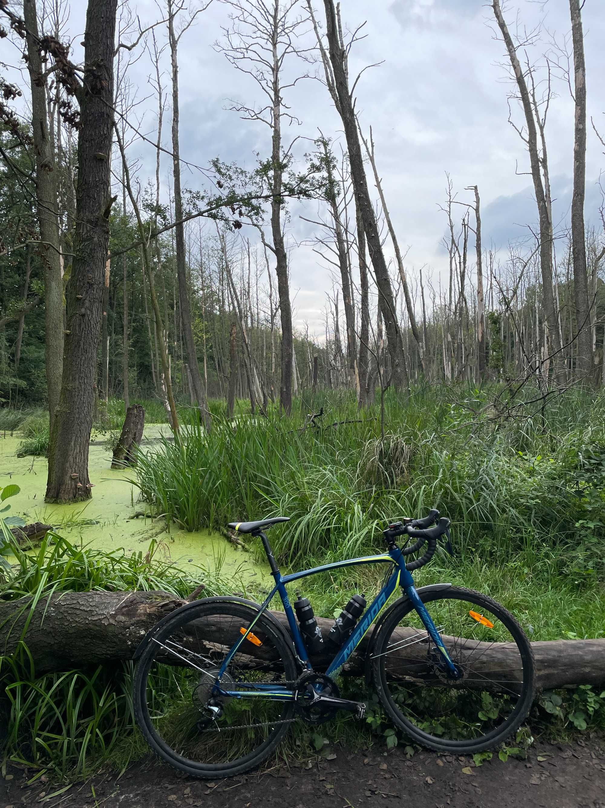 Rower Merida Cyclocross 300 L / gravel