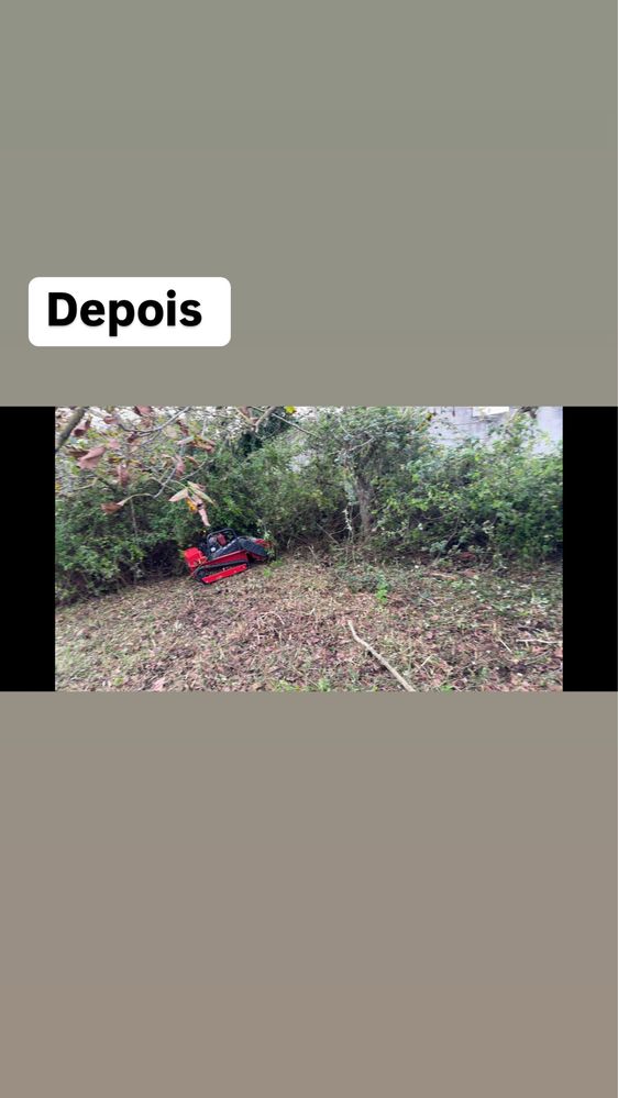 Limpeza de terrenos e mini-giratória